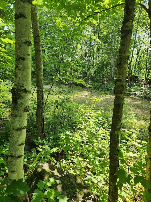 LotC Fern Drive, Buckfield, ME 04220