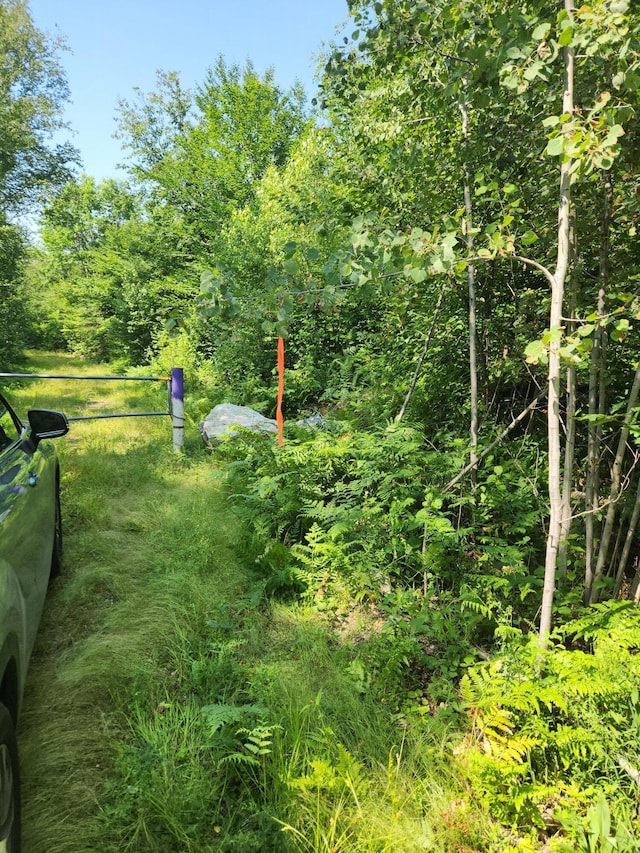 LotC Fern Drive, Buckfield, ME 04220