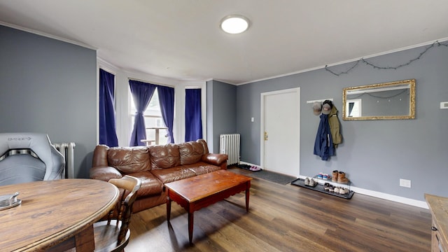 28 Stewart St, Lewiston, ME 04240 - living area with radiator heating unit, ornamental molding, and wood finished floors