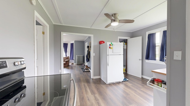 28 Stewart St, Lewiston, ME 04240 - kitchen featuring stainless steel range with electric cooktop, freestanding refrigerator, a ceiling fan, wood finished floors, and radiator