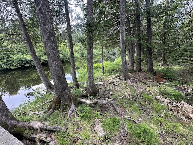 1295 Calais Rd, Hodgdon, ME 04730 - photo 8