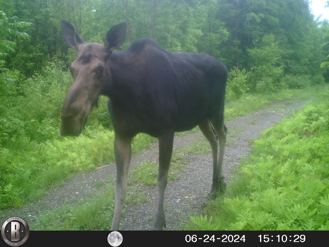 1295 Calais Rd, Hodgdon, ME 04730 - photo 12