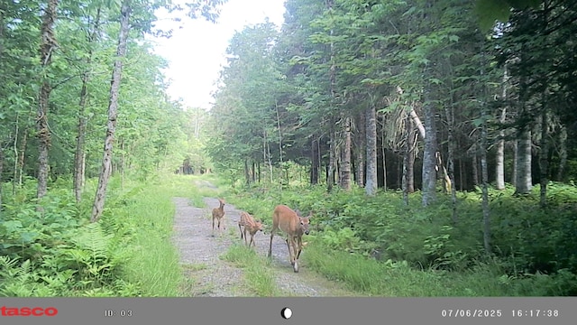 1295 Calais Rd, Hodgdon, ME 04730 - photo 13
