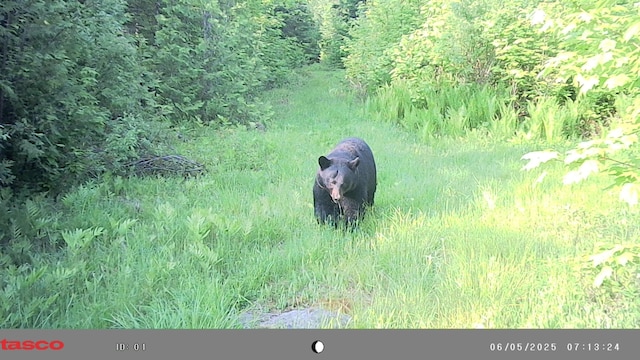 1295 Calais Rd, Hodgdon, ME 04730 - photo 14