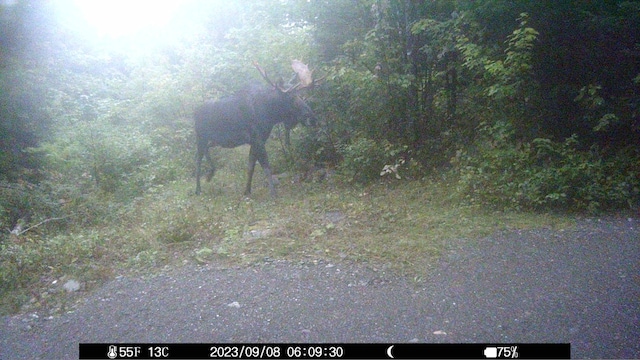 1295 Calais Rd, Hodgdon, ME 04730 - photo 16