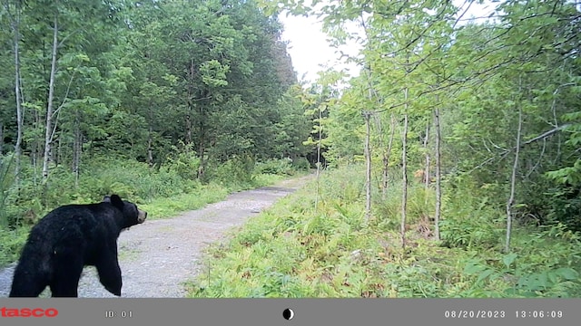 1295 Calais Rd, Hodgdon, ME 04730 - photo 18