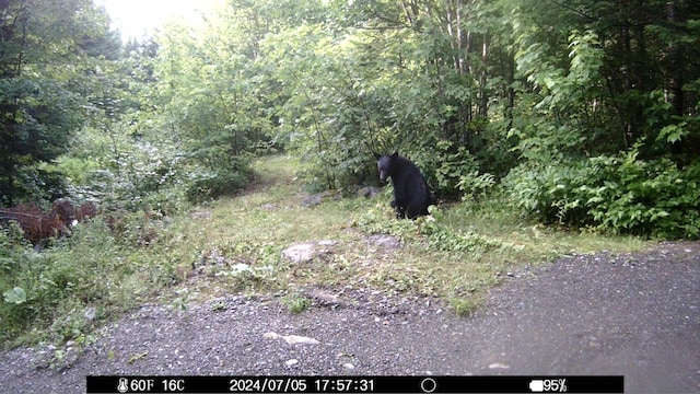1295 Calais Rd, Hodgdon, ME 04730 - photo 19