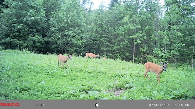 1295 Calais Rd, Hodgdon, ME 04730 - photo 20