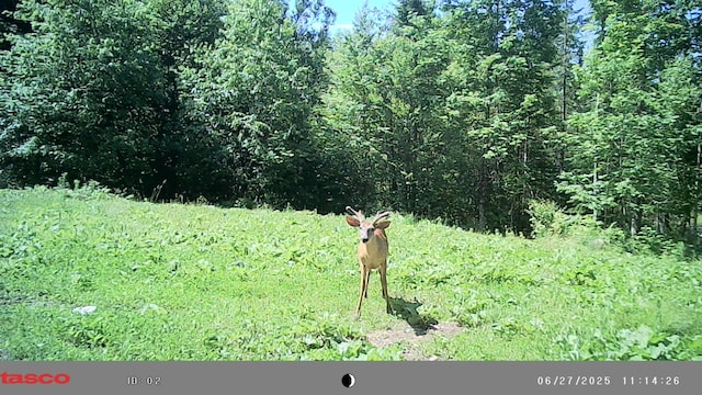 1295 Calais Rd, Hodgdon, ME 04730 - photo 21