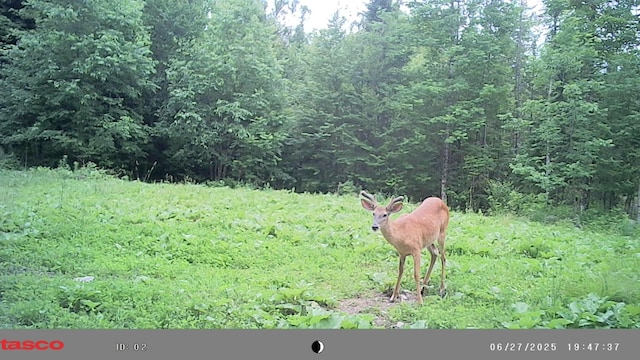 1295 Calais Rd, Hodgdon, ME 04730 - photo 22