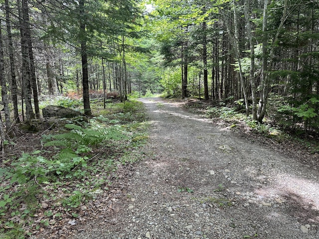 1295 Calais Rd, Hodgdon, ME 04730 - photo 23