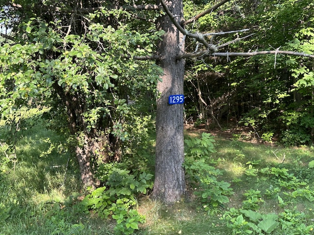 1295 Calais Rd, Hodgdon, ME 04730 - photo 26
