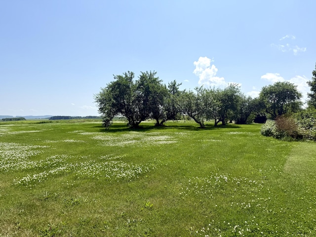 M18L163 Brewer Rd, Presque Isle, ME 04769 - photo 5