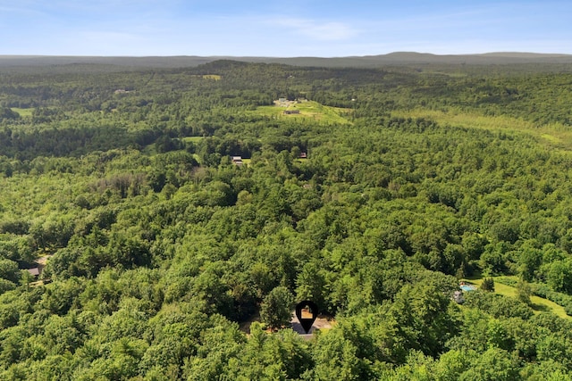 861 Cape Rd, Limington, ME 04049 - photo 40