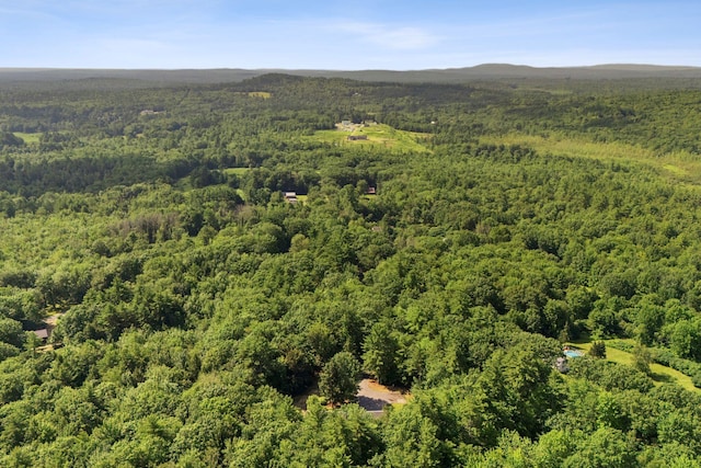 861 Cape Rd, Limington, ME 04049 - photo 41
