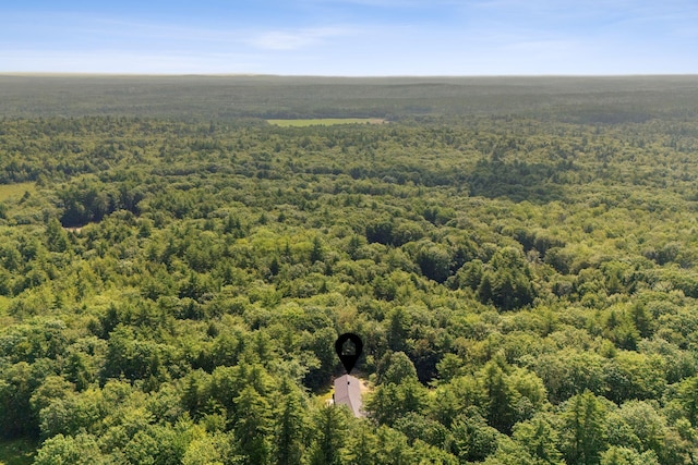 861 Cape Rd, Limington, ME 04049 - photo 42