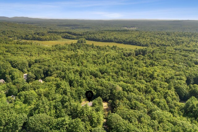861 Cape Rd, Limington, ME 04049 - photo 44