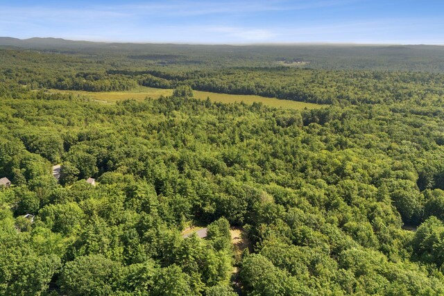 861 Cape Rd, Limington, ME 04049 - photo 45