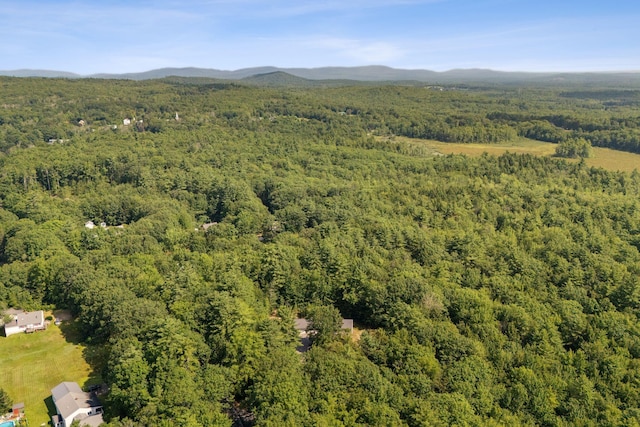 861 Cape Rd, Limington, ME 04049 - photo 47