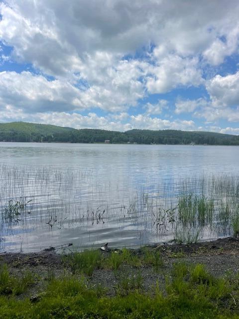 911 Sly Brook Rd, Wallagrass, ME 04781 - photo 2