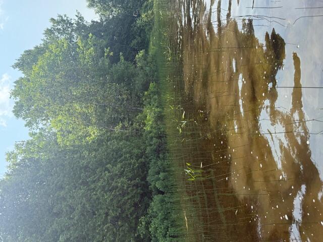 911 Sly Brook Rd, Wallagrass, ME 04781 - photo 28