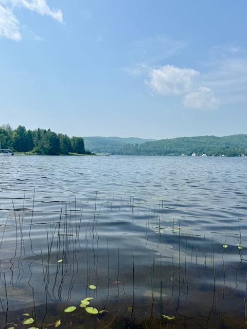 911 Sly Brook Rd, Wallagrass, ME 04781 - photo 29
