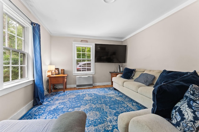 118 Gore Rd, Palermo, ME 04354 - living room featuring crown molding, wood finished floors, and heating unit