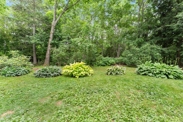 118 Gore Rd, Palermo, ME 04354 - view of green lawn with a view of trees