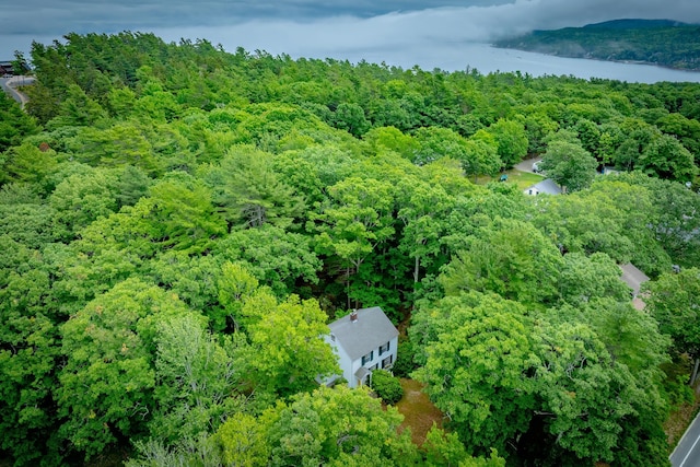 135 State Highway 3, Bar Harbor, ME 04609 - bird's eye view of a heavily wooded area and a large body of water