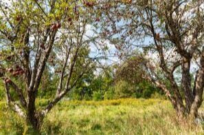 45 Freedom Rd, Belgrade, ME 04917 - photo 40
