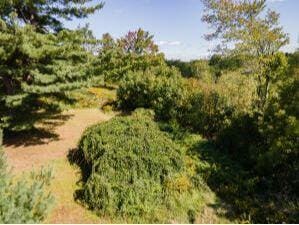 45 Freedom Rd, Belgrade, ME 04917 - photo 42