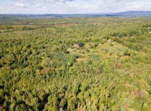 45 Freedom Rd, Belgrade, ME 04917 - photo 45