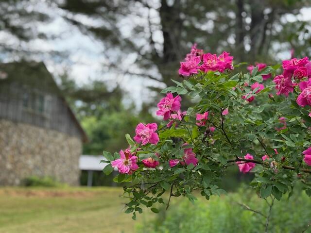 45 Freedom Rd, Belgrade, ME 04917 - photo 70