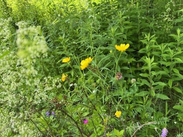 45 Freedom Rd, Belgrade, ME 04917 - photo 78