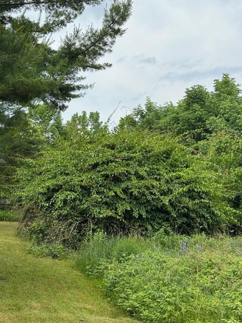 45 Freedom Rd, Belgrade, ME 04917 - photo 73