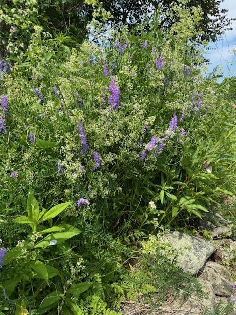 45 Freedom Rd, Belgrade, ME 04917 - photo 79