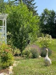 247 Wiley Rd, Naples, ME 04055 - photo 5