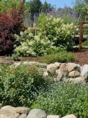 247 Wiley Rd, Naples, ME 04055 - photo 8
