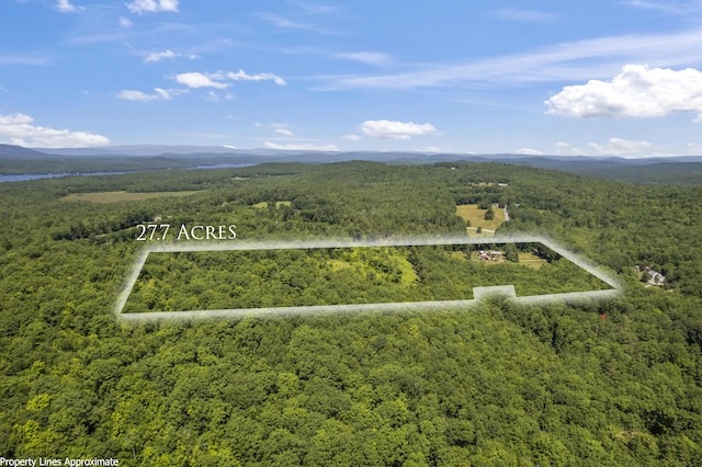 247 Wiley Rd, Naples, ME 04055 - photo 30