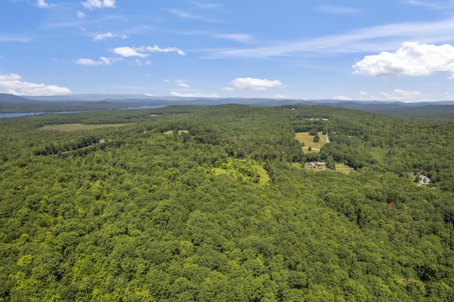 247 Wiley Rd, Naples, ME 04055 - photo 35