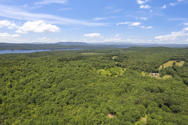 247 Wiley Rd, Naples, ME 04055 - photo 36