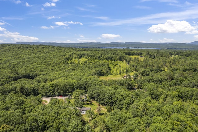 247 Wiley Rd, Naples, ME 04055 - photo 33