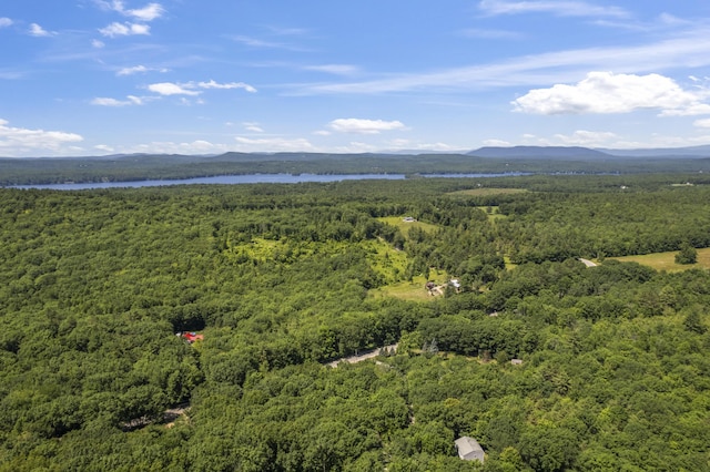 247 Wiley Rd, Naples, ME 04055 - photo 32