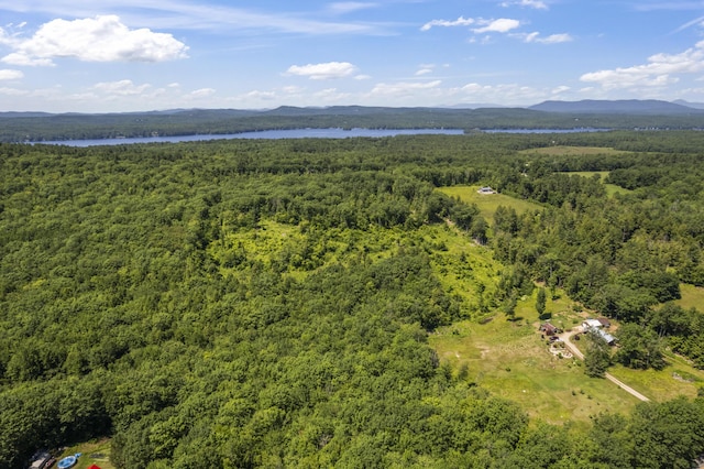 247 Wiley Rd, Naples, ME 04055 - photo 37
