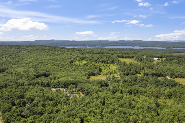 247 Wiley Rd, Naples, ME 04055 - photo 34
