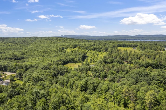 247 Wiley Rd, Naples, ME 04055 - photo 38