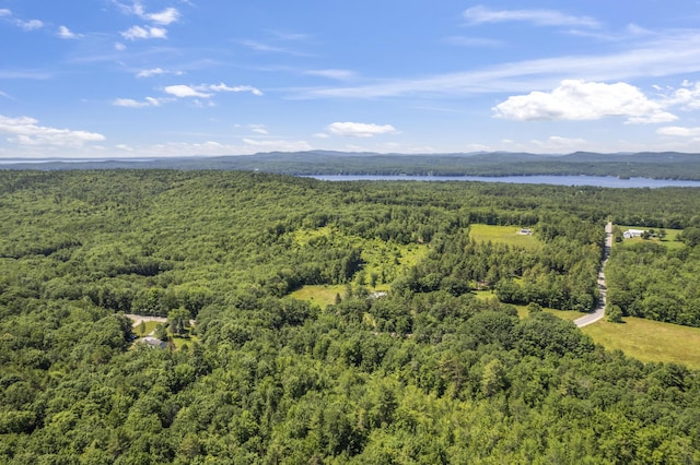 247 Wiley Rd, Naples, ME 04055 - photo 31