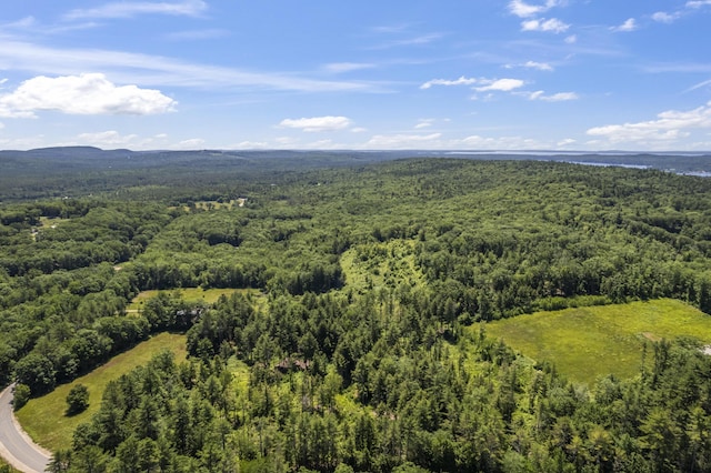 247 Wiley Rd, Naples, ME 04055 - photo 39