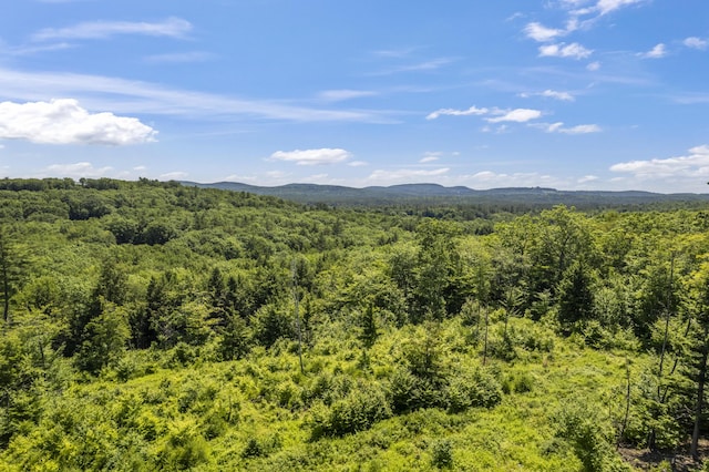 247 Wiley Rd, Naples, ME 04055 - photo 41