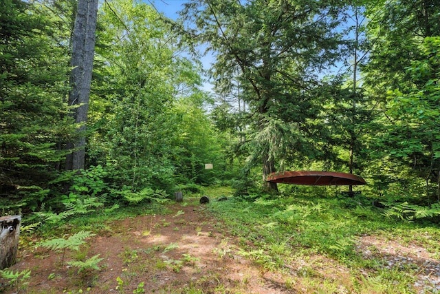 12 Emerson Rd, Hanover, ME 04237 - photo 34
